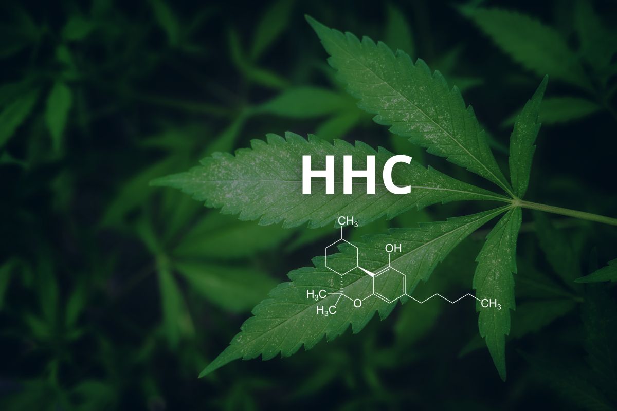 HHC Cannabis Sintetica