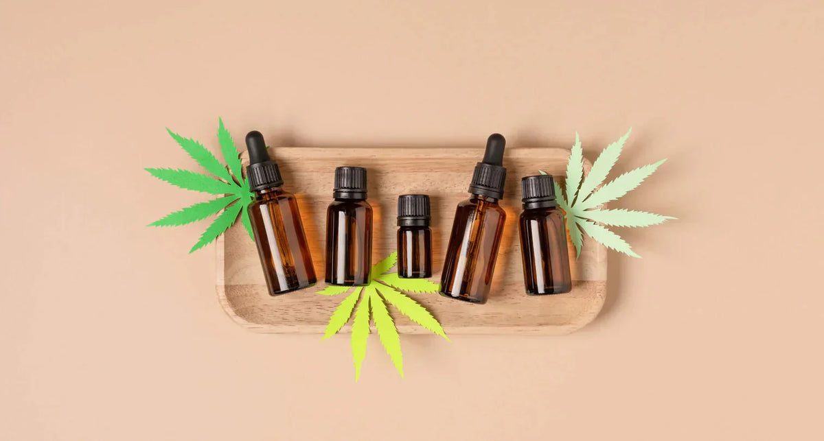 CBD Therapy per un effetto costante