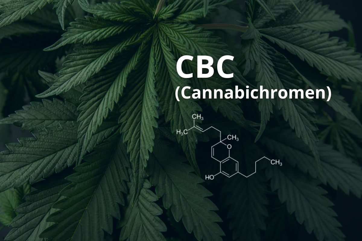 CBC (Cannabicromene)