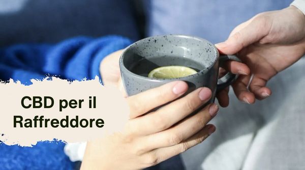 CBD per il Raffreddore: Sollievo Naturale