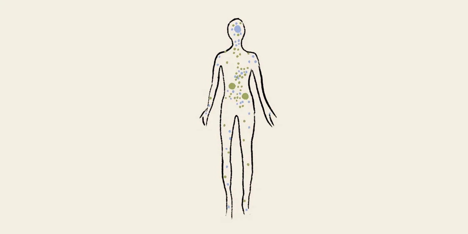 Sistema Endocannabinoide