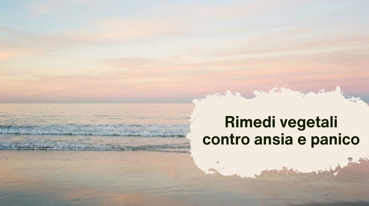 Rimedi vegetali contro ansia e panico